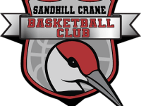 Time to Level&nbsp;Up